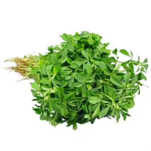 Box of Fresh water Leaf