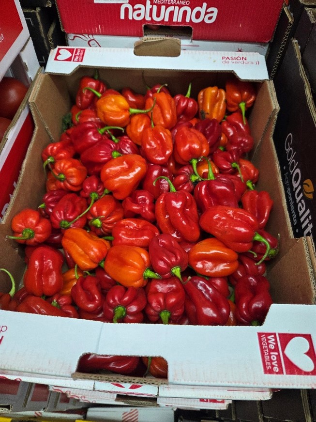 Box of Scotch Bonnet Pepper (Rodo)